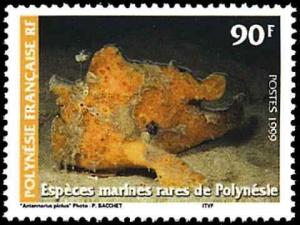 Colnect-649-003-Painted-Frogfish-Antennarius-pictus-.jpg