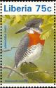 Colnect-1641-802-Giant-Kingfisher-Megaceryle-maxima.jpg