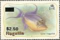 Colnect-1571-934-Queen-Triggerfish-Balistes-vetula.jpg
