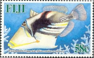Colnect-1613-749-White-banded-Triggerfish-Rhinecanthus-aculeatus-.jpg