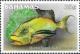 Colnect-1361-069-Queen-Triggerfish-Balistes-vetula.jpg