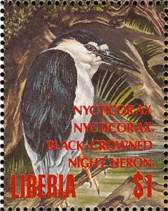 Colnect-1641-131-Black-crowned-Night-heron%C2%A0Nycticorax-nycticorax.jpg