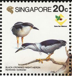 Colnect-1623-917-Black-crowned-Night-Heron-Nycticorax-nycticorax.jpg