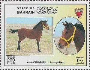 Colnect-1805-986--quot-Al-Ma--anaghieh-quot--Equus-ferus-caballus.jpg