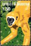 Colnect-3397-661-Lar-Gibbon-Hylobates-sp.jpg