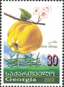 Stamps_of_Georgia%2C_2003-18.jpg