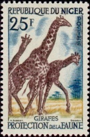Colnect-522-464-Giraffe-Giraffa-camelopardalis.jpg