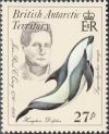 Colnect-1567-941-Jean-Rene-C-Ouoy-Hourglass-Dolphin-Lagenorhynchus-cruciger.jpg