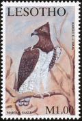 Colnect-1725-620-Martial-Eagle-Polemaetus-bellicosus.jpg