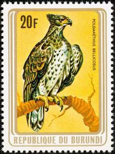 Colnect-3097-629-Martial-Eagle-Polemaetus-bellicosus.jpg