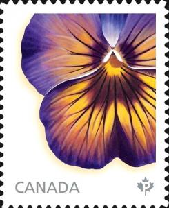 Colnect-2682-065-Midnight-Glow-Pansy---from-booklet.jpg