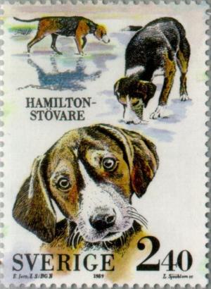 Colnect-164-679-Hamilton-Beagle-Canis-lupus-familiaris.jpg