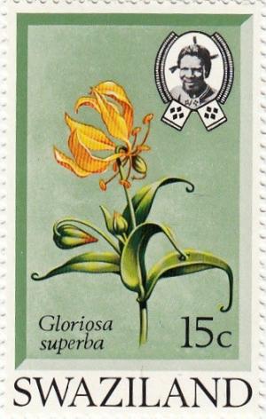 Colnect-1774-742-Gloriosa-Superba.jpg