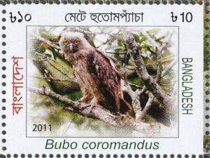 Colnect-4595-169-Dusky-Eagle-owl-Bubo-coromandus.jpg