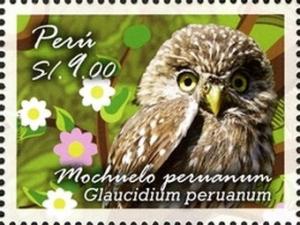 Colnect-2790-048-Peruvian-Pygmy-Owl-Glaucidium-peruanum.jpg