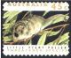 Colnect-1412-836-New-Guinea-Pygmy-Possum-Eudromicia-caudata.jpg