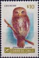Colnect-4704-365-Ferruginous-Pygmy-Owl-Glaucidium-brasilianum.jpg