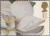 Colnect-5413-717-Magnolia-grandiflora.jpg