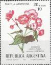 Colnect-1594-082-Begonia-micranthera.jpg