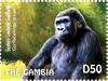 Colnect-3611-907-Eastern-Lowland-Gorilla-Gorilla-beringei-graueri.jpg