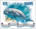 Colnect-4291-005-Dugong-Dugong-dugon.jpg