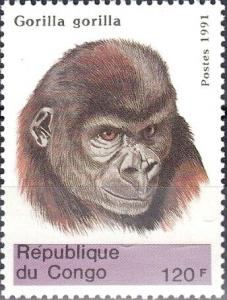 Colnect-5772-017-Gorilla-gorilla.jpg