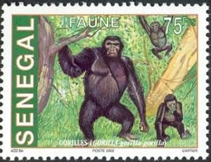 Colnect-1618-836-Western-Lowland-Gorilla-Gorilla-gorilla-gorilla.jpg