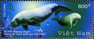 Colnect-1621-505-Dugong-Dugong-dugon.jpg