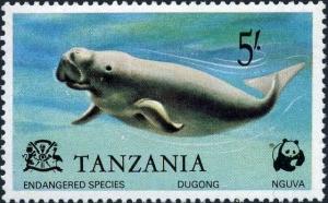 Colnect-4181-193-Dugong-Dugong-dugon.jpg