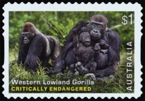 Colnect-4536-013-Western-Lowland-Gorilla-Gorilla-gorilla-gorilla.jpg