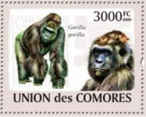 Colnect-6169-979-Gorilla-gorilla.jpg