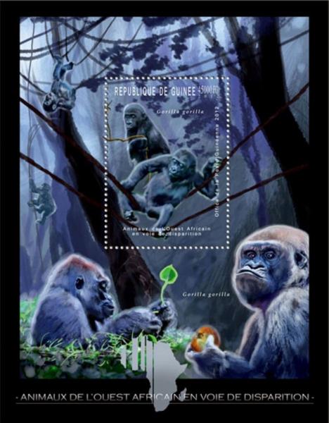 Colnect-6479-721-Gorilla-gorilla.jpg