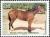 Colnect-1618-830-Le-Narougor-Equus-ferus-caballus.jpg