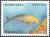 Colnect-1690-104-Dugong-Dugong-dugon.jpg