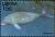 Colnect-3977-581-Dugong-Dugong-dugon.jpg