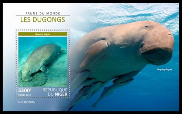 Colnect-6015-563-Dugong-Dugong-dugon.jpg