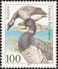 Colnect-2482-702-Brent-Goose-Branta-bernicla.jpg