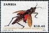 Colnect-2004-882-Pyromorphid-Grasshopper-Dictyophorus-sp.jpg