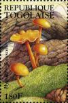 Colnect-3237-865-Hygrocybe-flavescens.jpg