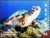 Colnect-5163-969-Green-sea-turtle.jpg