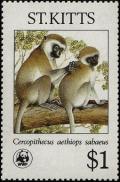 Colnect-1659-379-Adult-grooming-young-monkey.jpg