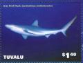 Colnect-6344-964-Gray-Reef-Shark.jpg