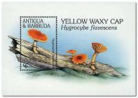 Colnect-1462-878-Hygrocybe-flavescens.jpg