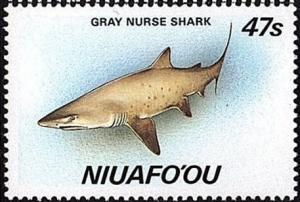 Colnect-4777-247-Gray-nurse-shark.jpg