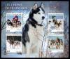 Colnect-6008-026-Sledge-Dogs-Canis-lupus-familiaris.jpg