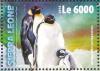 Colnect-3566-094-Emperor-Penguin---Aptenodytes-forsteri.jpg