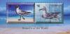 Colnect-4523-303-Seagulls-of-the-world.jpg