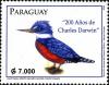 Stamps_of_Paraguay%2C_2010-07.jpg