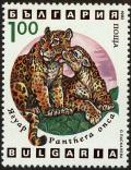 Colnect-4413-044-Jaguar-Panthera-onca.jpg
