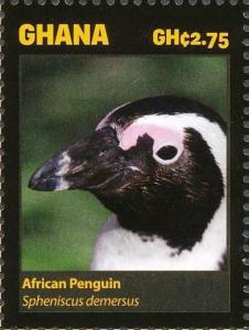 Colnect-4241-267-African-Penguin----Spheniscus-demersus.jpg
